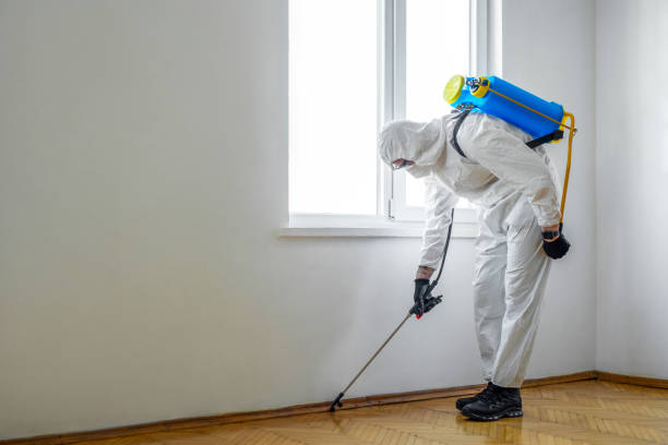 Best Affordable Pest Control Services  in Pine Bluffs, WY