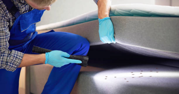 Best Termite Control Services  in Pine Bluffs, WY