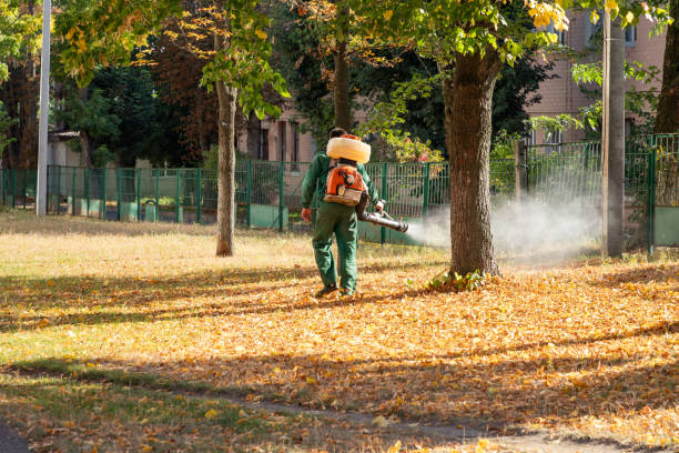 Best Cockroach Control Services  in Pine Bluffs, WY