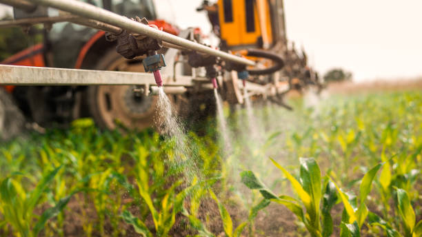 Best Wildlife Control Services  in Pine Bluffs, WY